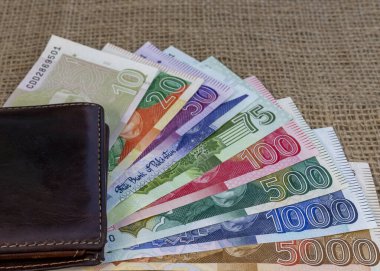 Pakistan tam para birimi ve cüzdan seti. Para Kaydetme Konsepti.