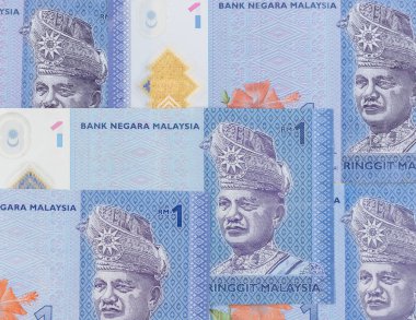 Tuanku Abdul Rahman 'ın Malezya Tek Yüzük para birimi üzerine portresi