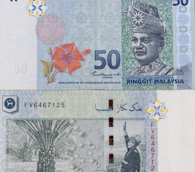 Malezya 50 ringgit notasının büyük bir parçası