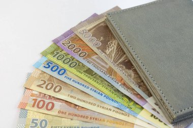 Suriye 'nin para birimi notları ve beyaz arkaplanda izole edilmiş bir defter.