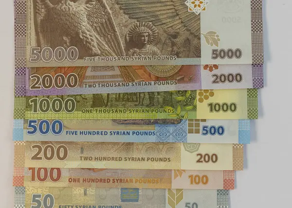 stock image Close-Up of Syrian Currency Notes Back Side. Financial Background.