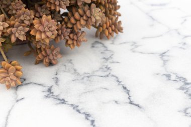 Mermer zeminde bir tencerede sulu grafikler.