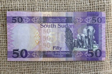 South Sudan fifty pounds banknotes reverse featuring elephants clipart