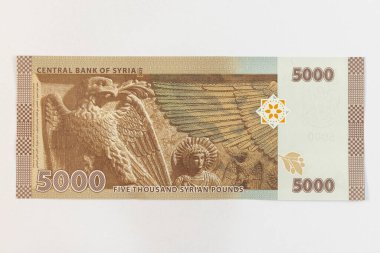 Suriye 'de beş bin sterlinlik banknotta Baalshamin Tapınağı' ndan kartal ve yarhibol resco yer almaktadır (Palmyra).