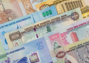 Birleşik Arap Emirlikleri çeşitli banknotlar halinde. İş geçmişi kavramı.