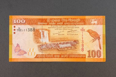 Norochcholai kömür santrali ve Laxapana şelalesi, Sri Lanka turuncu gagalı babbler (Turdoides rufescens), sonbahar yaprağı kelebeği (Doleschallia bisaltide)