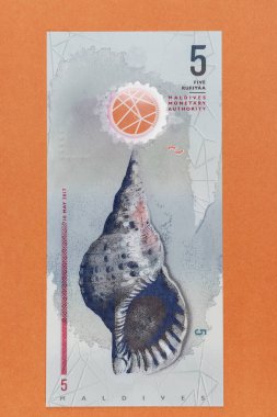 Maldivler 5 rufiye gri-kırmızı renkli dikey banknot ve deniz kabuğu kabuğu portresi