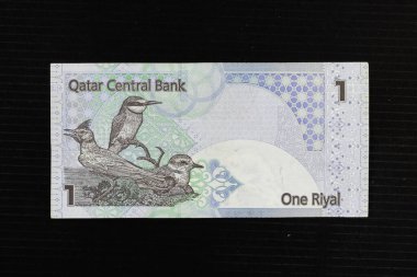Avrupalı bir arı yiyici, armalı tarlakuşu, ve bir kentish plover, Katar 1 riyal 2003 banknotundan bir portre. (Dördüncü seri)