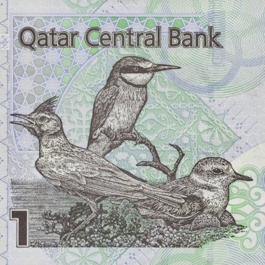 Portrait of european bee-eater, a crested lark, and a kentish plover taken from Qatar 1 riyal currency note clipart