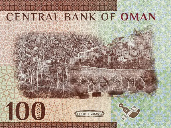 stock image Closeup of a coconut trees (Dhofar), Falaj Al Jeela (Ash Sharqiyah South) portrait on Oman 100 basia banknotes (2020 Series)