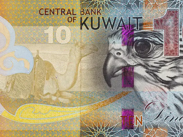 stock image Closeup of a falcon and camel dressed in a sadu saddle portrait on Kuwait 10 dinar banknote