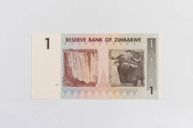 Victoria Şelalesi 'ni (Mosi-oa-Tunya) ve Su Bufalosu' nu vurgulayan Zimbabwe Bir Dolarlık Bill