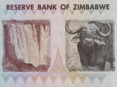 Victoria Şelalesi 'nin Portresi (Mosi-oa-Tunya) ve Su Bufalosu Zimbabwe Bir Dolarlık Yakın çekim