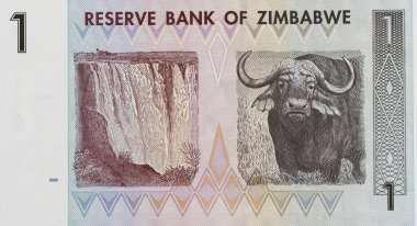 Victoria Falls (Mosi-oa-Tunya) ve Water Buffalo Portresi 'nin yer aldığı bir dolarlık Zimbabwe Bill.