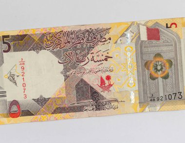 Modern Katar 5 riyal banknot