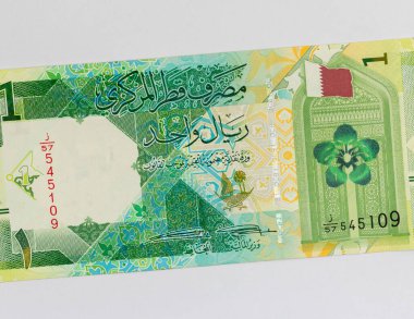Katar 1 riyal banknotu geleneksel geometrik desenler, Katar bayrağı, çiçek (Dreama) ve tarihi Katar mimarisini temsil eden bir kapı.,