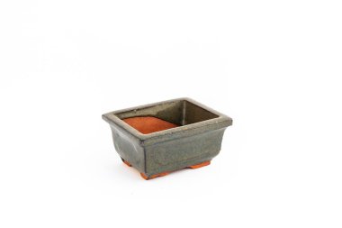 Green empty bonsai pot on white background with space for text. clipart