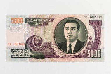 North Korean 5000 won banknote features Kim Il-sung, and Siebold's Magnolia (Magnolia sieboldii) flowers portraits clipart