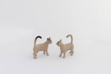 Beyaz arka planda izole edilmiş iki minyatür oyuncak kedi.