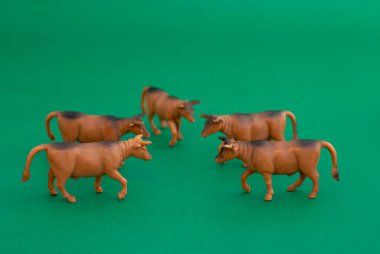 Yeşil arka planda beş kahverengi boğa.