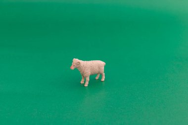 Yeşil arka planda tek bir koyun