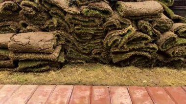 Çamurlu bir ot rulosu, bitki yetiştirme odasında satılık.