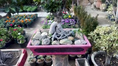 Güzel Sanatsal Bahçe Masası Bonsai Ağacı Kapanışı