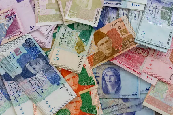 Pakistanlı Banknotların Çeşitli Değerlerde Yakın Çekimi