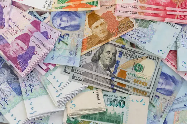 Pakistan Çeşitli Banknotlar ve 100 Dolar Banknotlar