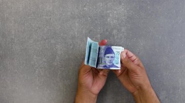 Pakistan 'a yeni 75 rupilik hatıra banknotları sayan adam.