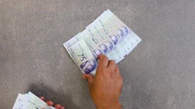 Pakistan 'ın yeni 75 rupi hatıra banknotları ve Quaid e Azam ve fatima Jinnah portreleri sayılıyor.