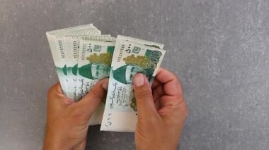 Bütçeleme ve ev konseptinde para biriktirme. Beş yüz rupi sayıyorum..