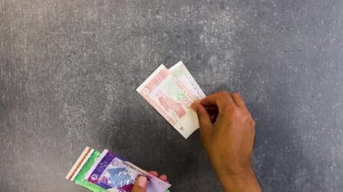 Pakistanlı banknotların tamamı.