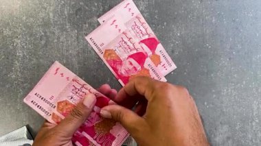 Ev bütçesi ve finansal kontrol için nakit planlama. Pakistan 100 rupi para birimi