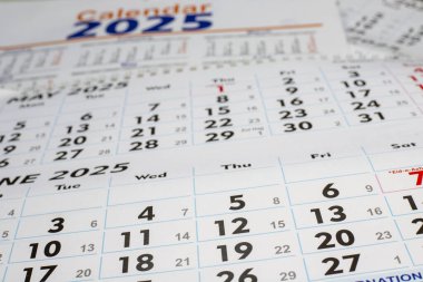 2025 yılının aylık duvar takvimi