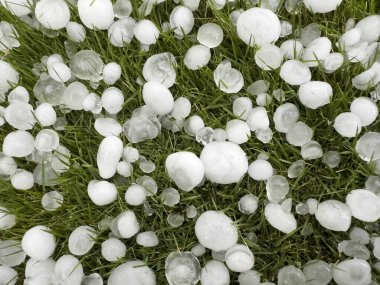 Donmuş beyaz buz topları yeşil çimlerin üzerinde dolu yağıyor. Meteoroloji kötü hava tahmini kavramı..