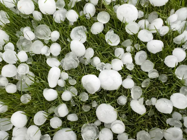 Donmuş beyaz buz topları yeşil çimlerin üzerinde dolu yağıyor. Meteoroloji kötü hava tahmini kavramı..