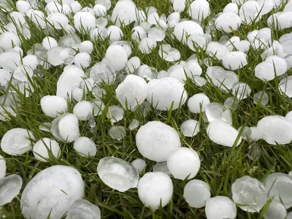 Fırtınadan sonra çimlerin üzerindeki dolu taşlarının yakın çekim görüntüsü