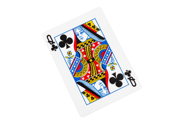 Sinek Kızı Yeşil Masada Oynuyor