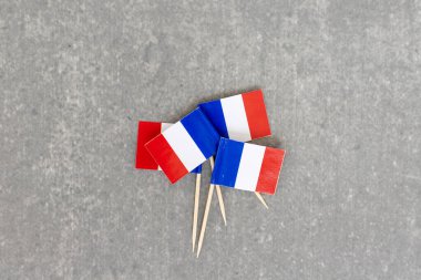 Gri Arkaplanda Fransız Mini Bayrakları Kümesi