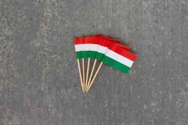 Fanned Macar Bayrağı Gri Arkaplanda