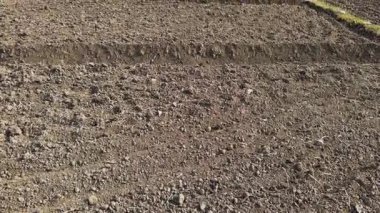 Kuru ekili tarım tarlası Pirinç ekmeye hazır