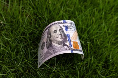 Çimenlerin üzerinde yatan 100 Dolarlık banknotun Eğri Ön Yüzü
