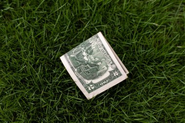 Çimenlerde Katlanmış İki Dolar Fatura