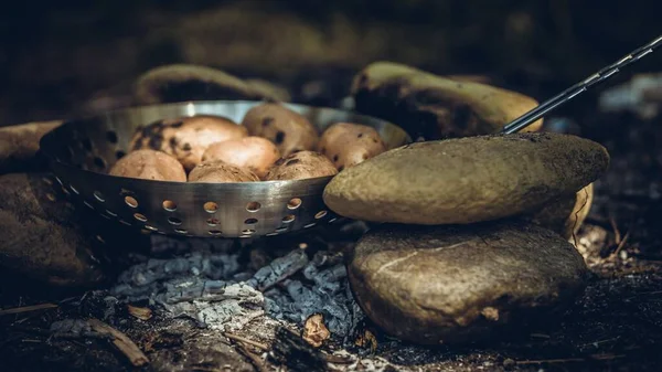 Kochen Der Wildnis Lagerfeuer Gebackene Bratkartoffeln Rezept Camping Outdoor Cooking Stockbild