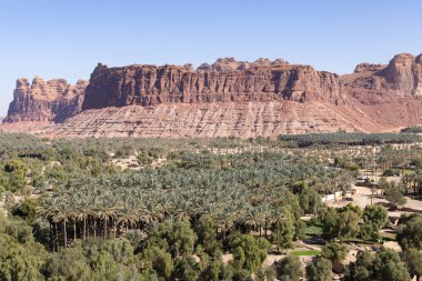 Suudi Arabistan 'daki Al Ula vahası.