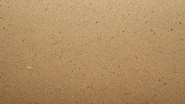 Mockup veya Şablon Arkaplanı için Mantar Bülteni Görünümü