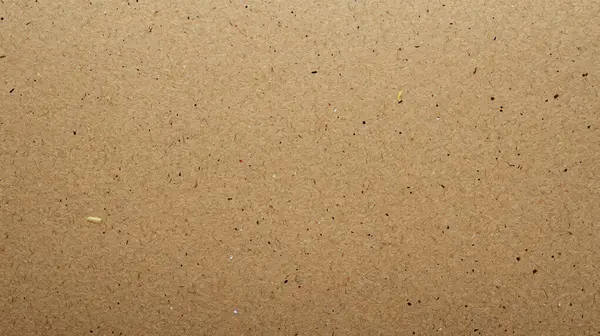 Mockup veya Şablon Arkaplanı için Mantar Bülteni Görünümü