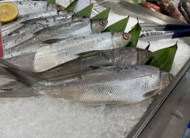 Taze Çiğ Balık Deniz Ürünleri Marketinde Ezilmiş Buza Yattı, Mutfak, Restoran ve Market Kullanımı İçin Yüksek Çözünürlüklü Arka plan