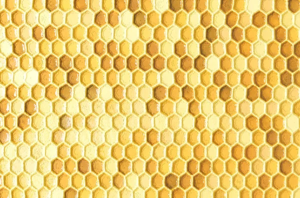 stock image Honey comb texture background. Backgrounds and textures. 